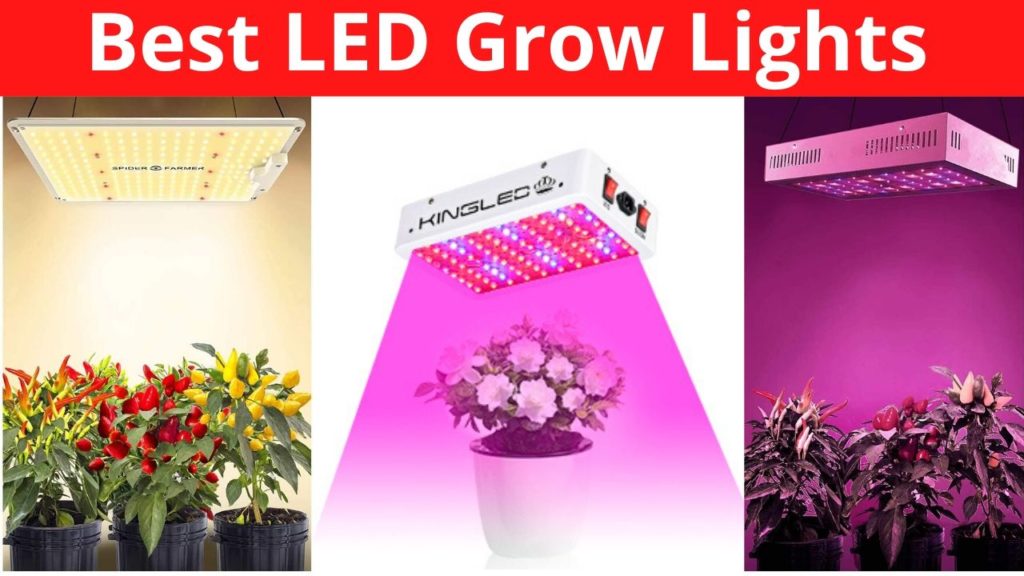 Best Budget LED Grow Lights for Indoor Plants.