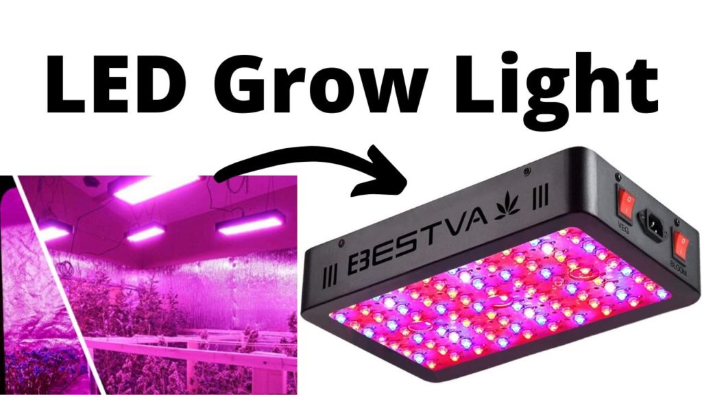 Best Budget LED Grow Lights for Indoor Plants.