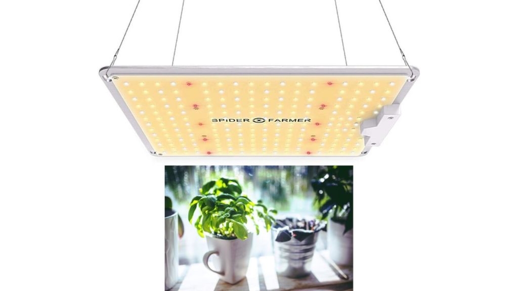 Best Budget LED Grow Lightings for Indoor Plants.