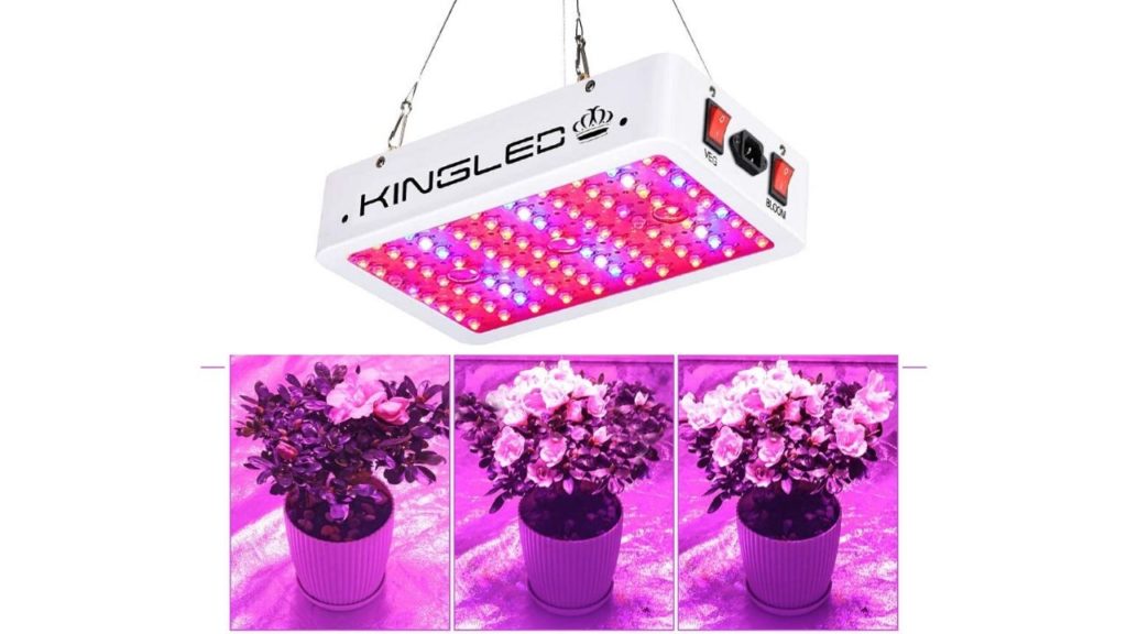 Best LED Grow Light for Indoor Plants.