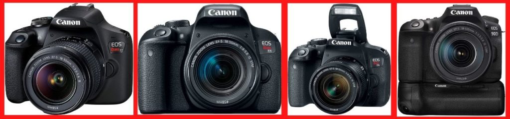 Most Valid Selection Of 4 Canon DSLR Cameras
