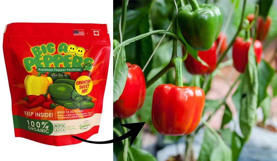 13.5oz Premium Organic Fertilizer for Peppers